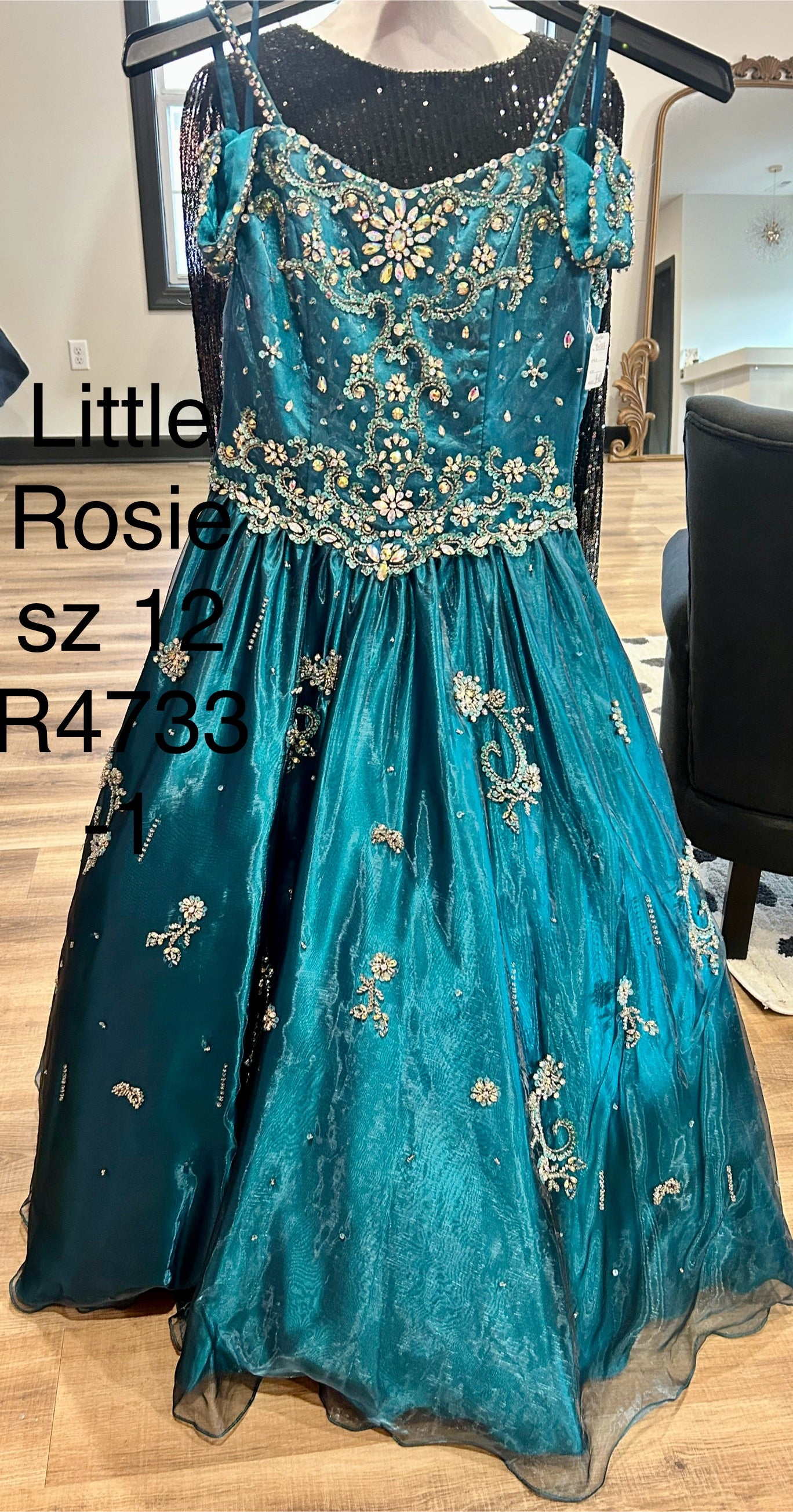 R4733-1